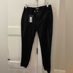 PAIGE—Black Velvet Joggers